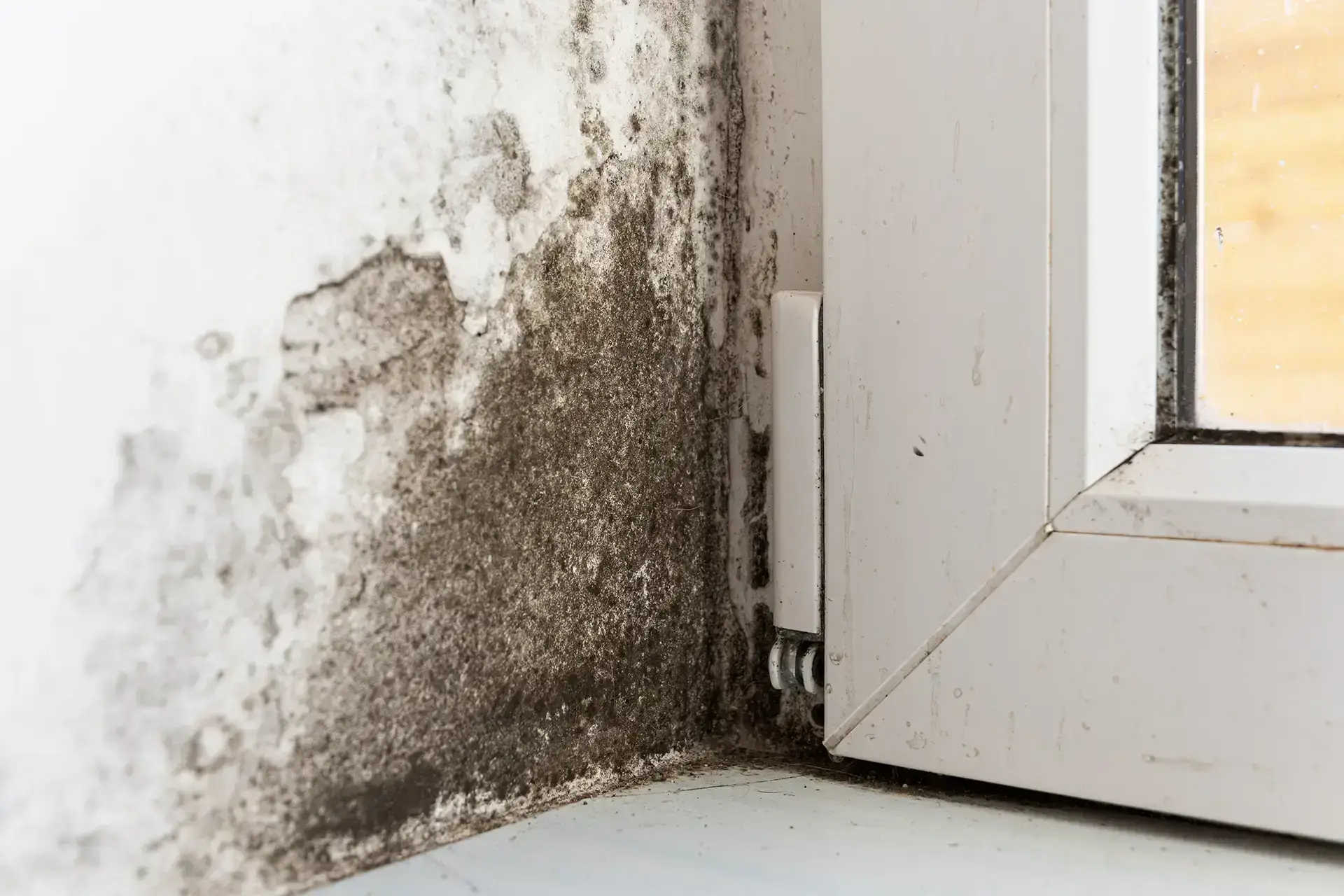 Leading Water Damage Restoration Company in Fremont — Fremont, CA
